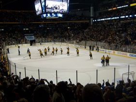 Predators Hockey entire rink